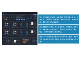 公交企业大数据分析系统（BIS软件）